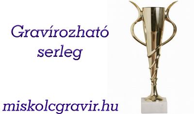 kehely miskolc, serleg miskolc, serleg gravírozás miskolc serleg miskolc, miskolc serleg, serleg készítés miskolc