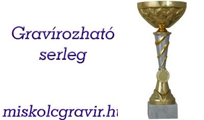 serleg miskolc, serleg készítés miskolc, serlegek miskolc, gravírozás miskolcon, plakettek miskolcon arany serleg miskolcon, serleg miskolc