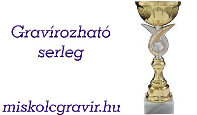 egyedi serlegek miskolc, arany serleg miskolc, serlegek gravírozása miskolcon serleg miskolc, miskolc serleg, serleg gravírozás miskolc, serleg miskolc
