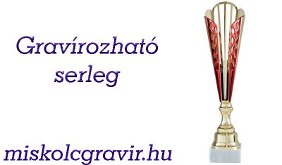 Serleg készítés miskolcon, üvegplakett miskolc, plakett miskolc, plakett gravírozás serleg miskolc, sport serleg miskolc