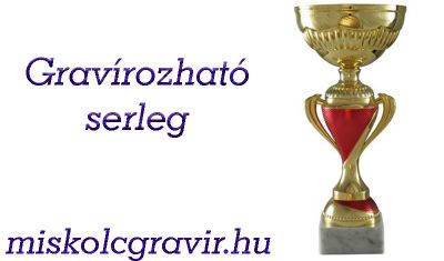 üvegplakett, serleg gravírozás, serleg készítés, serleg miskolc, kupa miskolc, díjak miskolc, plakett serleg gravírozás, gravírozás miskolc, sport serleg miskolc