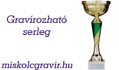Gravírozható serleg, gravírozás miskolcon, arany serleg, serleg miskolc, plakett miskolc serleg miskolc, kupa gravírozás, érem gravírozás, egyedi serleg gravírozás, serleg miskolc