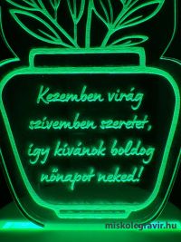 miskolcgravir Nőnapi plakett 05